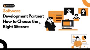 Software Development Partner